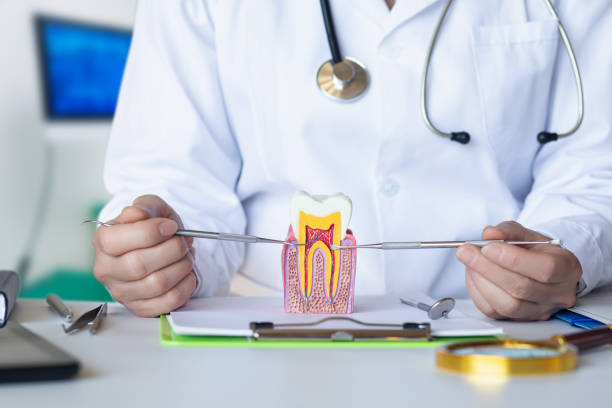 Best Emergency Dentist for Lost Fillings or Crowns in Conshohocken, PA